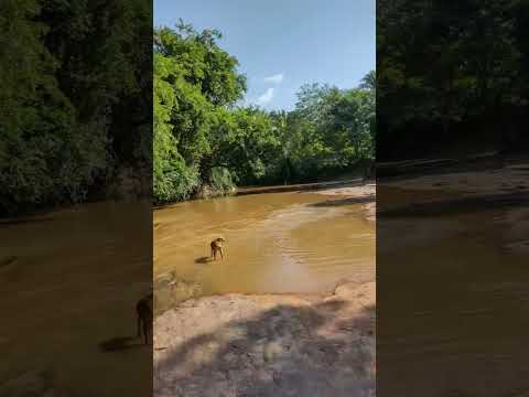 Fazenda dos Rodrigues, Município de Passagem franca do Piauí