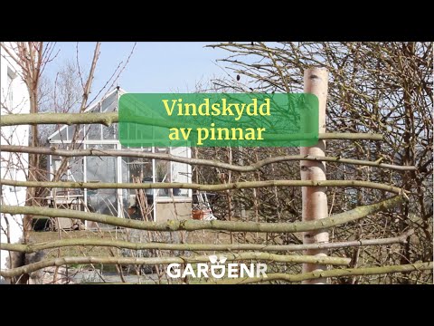 Vindskydd av pinnar - Trädgårdshacks med GardenR