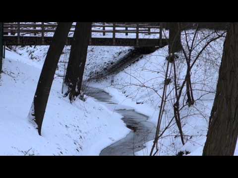 Oraniendamm Packereigraben Waidmannslust Wittenau Reinickendorf Berlin 23.1.2013 HD