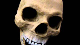 BoBo Bury them Bones