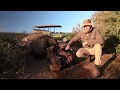 Shamwari Ranger Series Updates From The Bush