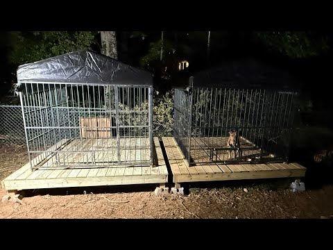 How to Build a Deck for a Kennel MY WAY‼️ #BrickhousePerformance #McNabbDogs