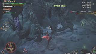 【声あり】モンハンワイルズ【PS5】