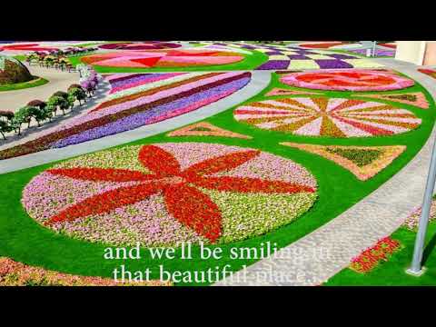 heart grieve-by John Micah