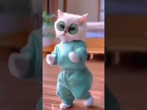 Cat funny video 😻😸😺🐱