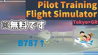 無料で出来る飛行機ゲームが凄すぎた！！