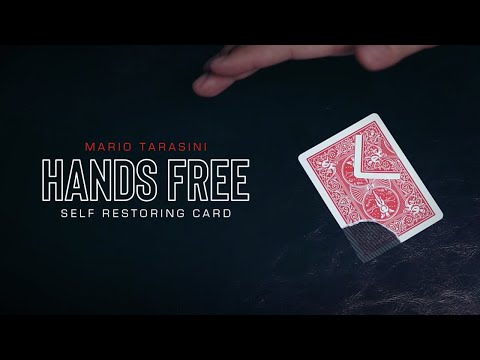 Hands Free by Mario Tarashi