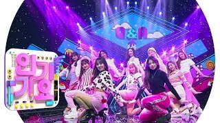Cherry Bullet(체리블렛) - Q&amp;A @인기가요 Inkigayo 20190203