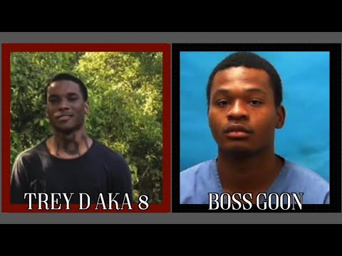 The Murder of Trey D and Boss Goon