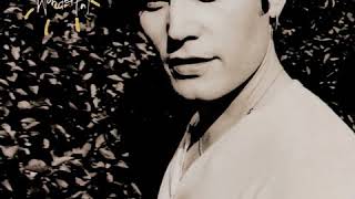 Adam Ant - Wonderful (LYRICS)