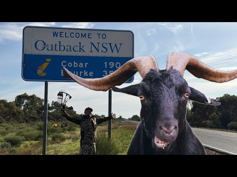 Hunt trip to central west NSW- Bow hunting 