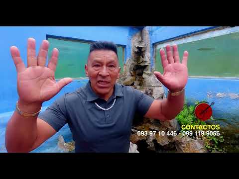 Bolivar Chimbo - Amigo ya no tomes mas Licor
