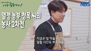 [청목 씨의 도도한 귀농생활] 결혼 3년 차 신혼부부가 집에 가서 가장 먼저 하는 것은?