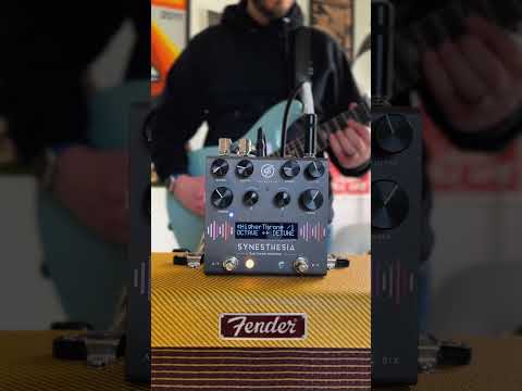 GFI System Synesthesia Dual Channel Modulation 2019 - 2021 Grey image 8