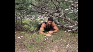 How to do the Push Pull Crawl