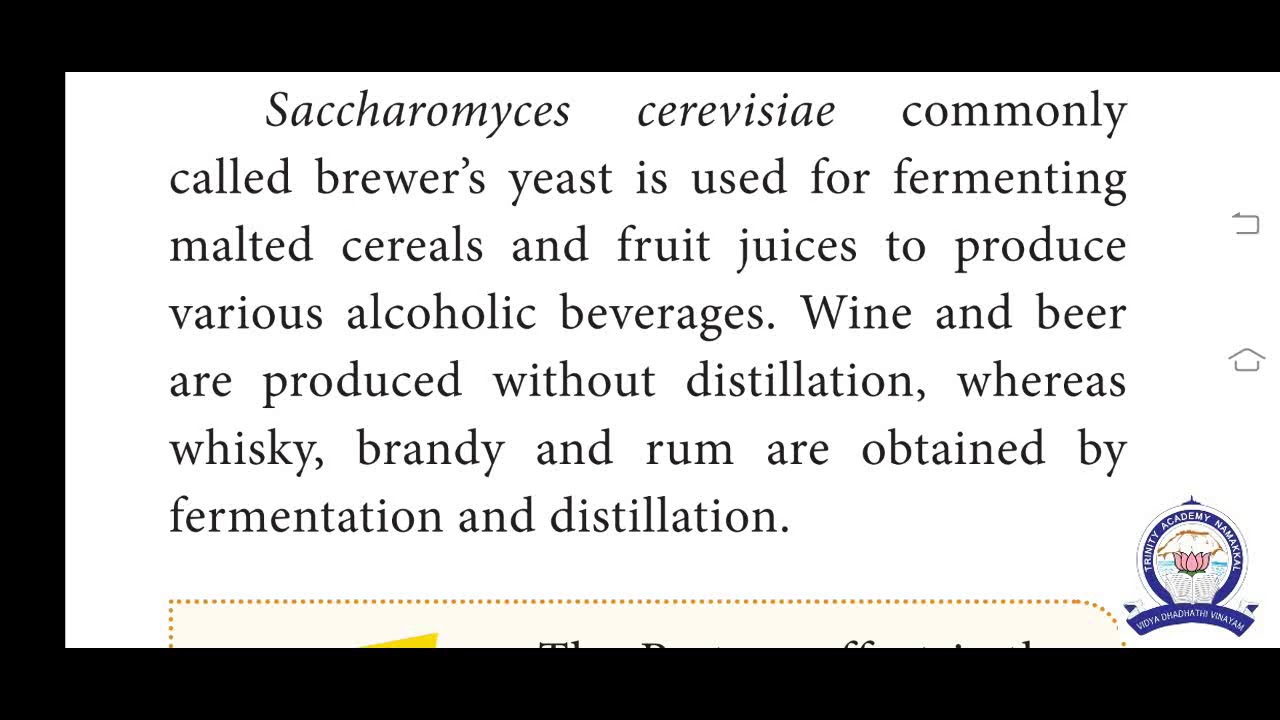 XII ZOOLOGY Unit 3 Chapter  8 Microbes in Fermented Beverages