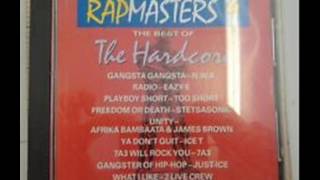 Rapmasters 9: The Best Of The Hardcore [full lp]