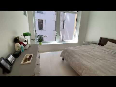 video 1