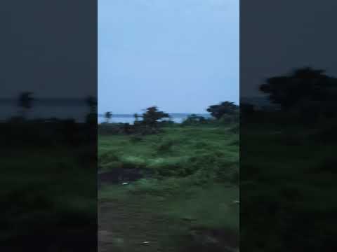 Nature #nature #shorts #trending #ytshorts #theshuklasisters
