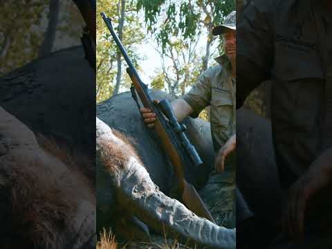 Not a Very Smooth Action