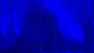 Mother Earth Has Spoken Video