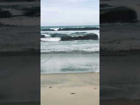 Marina beach#marinabeach #chennai #sea #sagar