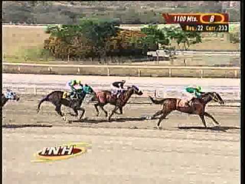 Resumen Domingo, 23 de Marzo de 2014 - La Rinconada