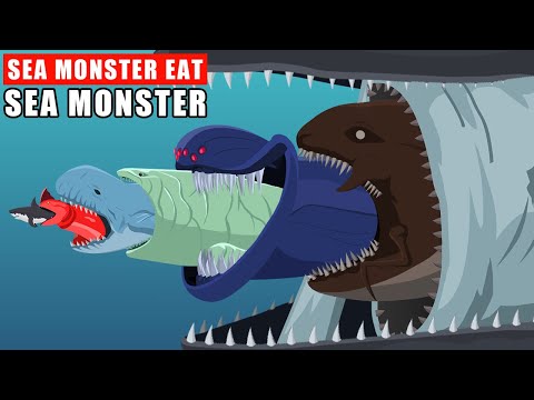 Sea Monster Eat Sea Monster: Deep Sea Food Chain