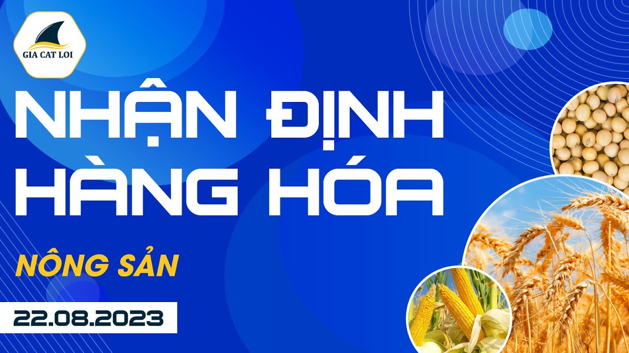 Nhận Định Hàng Hoá Nông Sản Ngày 22/08/2023