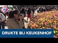 Wegen naar Keukenhof lopen weer vol, er moet nu echt iets gebeuren - OMROEP WEST
