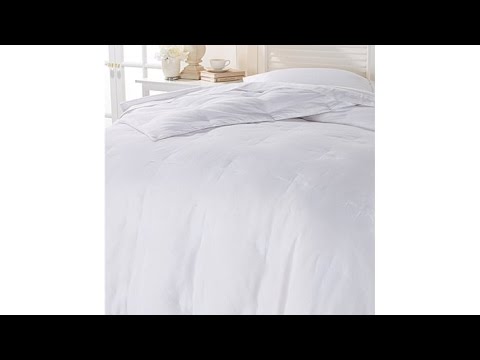 Concierge Collection Down Blend Comforter  Twin