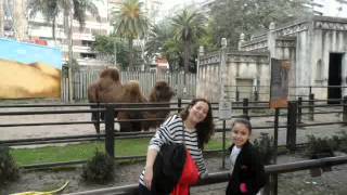 the ramones IN THE PARK