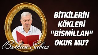Dr. Burhan SABAZ(Kısa) - Bitkilerin kökleri "Bismillah" okur mu?