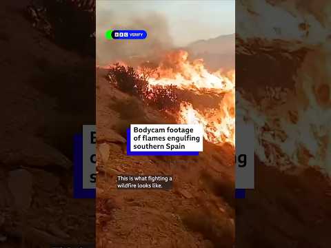 Bodycam footage of flames engulfing southern Spain. #Wildfire #BBCNews