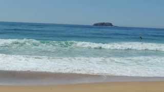 Sapphire Beach, Dog Friendly Beach,  NSW - dogexplorer.com.au