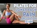 PILATES FOR LOWER BACK PAIN (Strengthen & Stabilise) | 10 min Workout