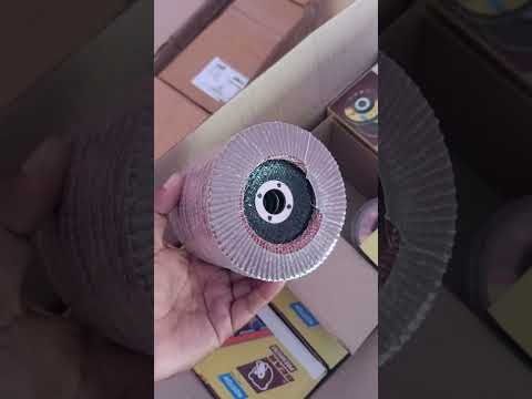 Flap Disc