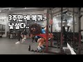 3주만에 헬스장 복귀운동 짤막하게
