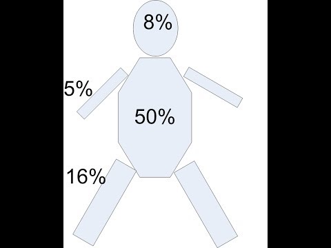 Tai Chi Push Hands For Beginners, Part 8,  Trunk is 50% Weight