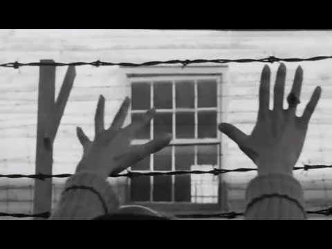 Ultravox - Vienna: "Concentration"