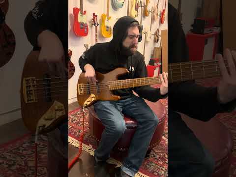 La Bella Olinto Signature Flat Wound Bass Strings - OSF-5 5-String Set