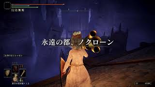 【ELDEN RING】ハイト砦の西～永遠の都ノクローン