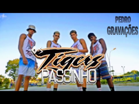 MC TROIA E DYNHO ALVES - ENCAIXADA (@Os_tigers_do_passinho)