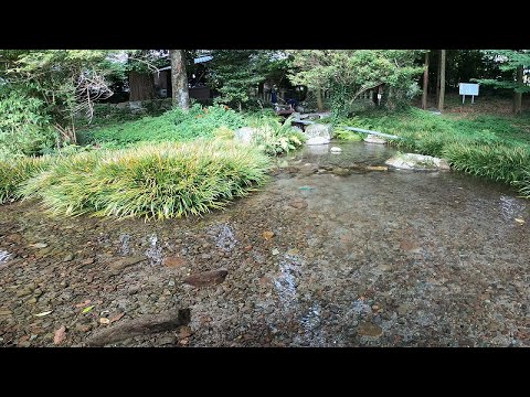 新阿蘇紀行（49.塩井社）