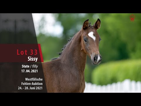 Westfälische Fohlen-Auktion Lot 33 Sissy Stute v. Sir Heinrich - Laureus
