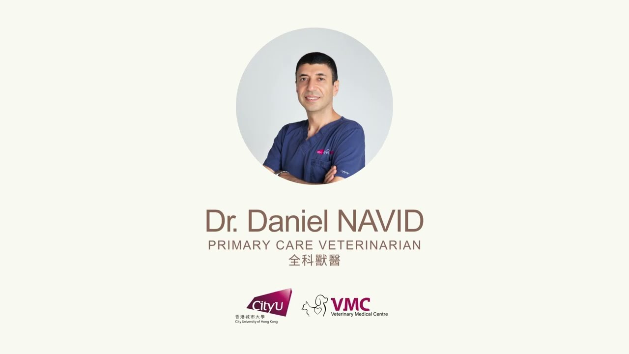 城大動物醫療中心全科獸醫 Dr Daniel NAVID, CityU VMC's Primary Care Veterinarian