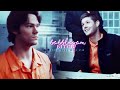 team free will 2.0 | bubblegum bitch