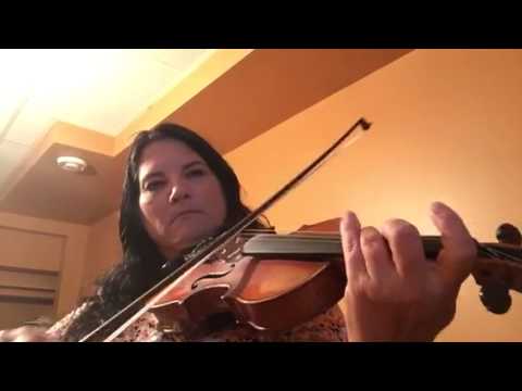 Day 259 - Apple Blossom Waltz - Patti Kusturok's 365 Days of Fiddle Tunes