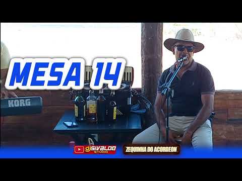 ZEQUINHA DO ACORDEON - MESA 14 ( SERESTA 2025 )