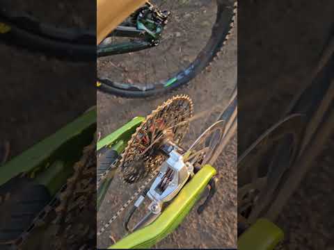 Má kolo pořádně řvát, nebo být ticho? #hydra vs #onyx